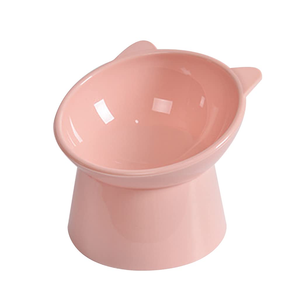 Elevated Tilted Cat Bowl
