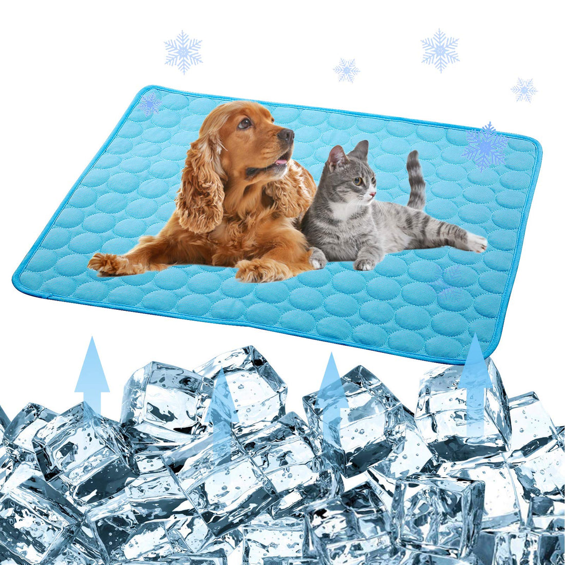 Smart Pet Care Bundle — Fed & Cool All Day