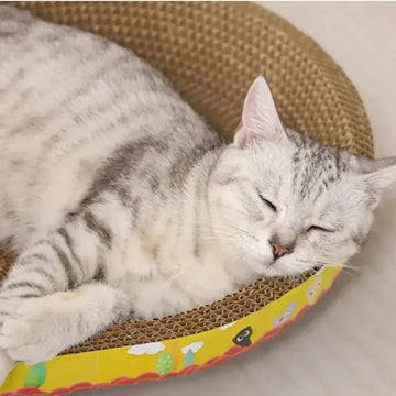 2-in-1 Cat Scratcher Bed