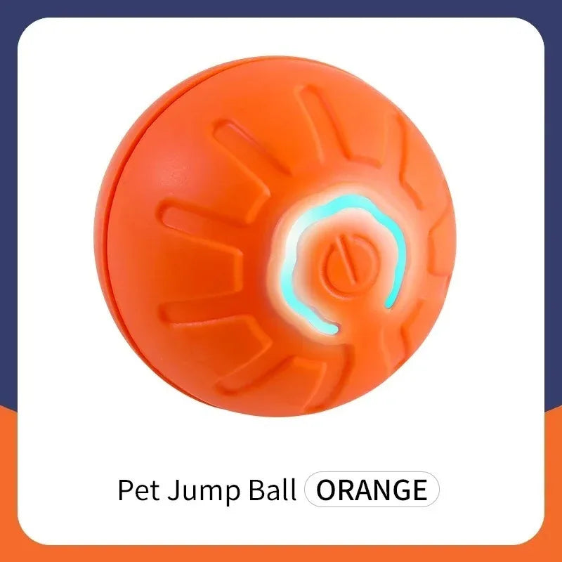 USB Rechargeable Smart Pet Ball