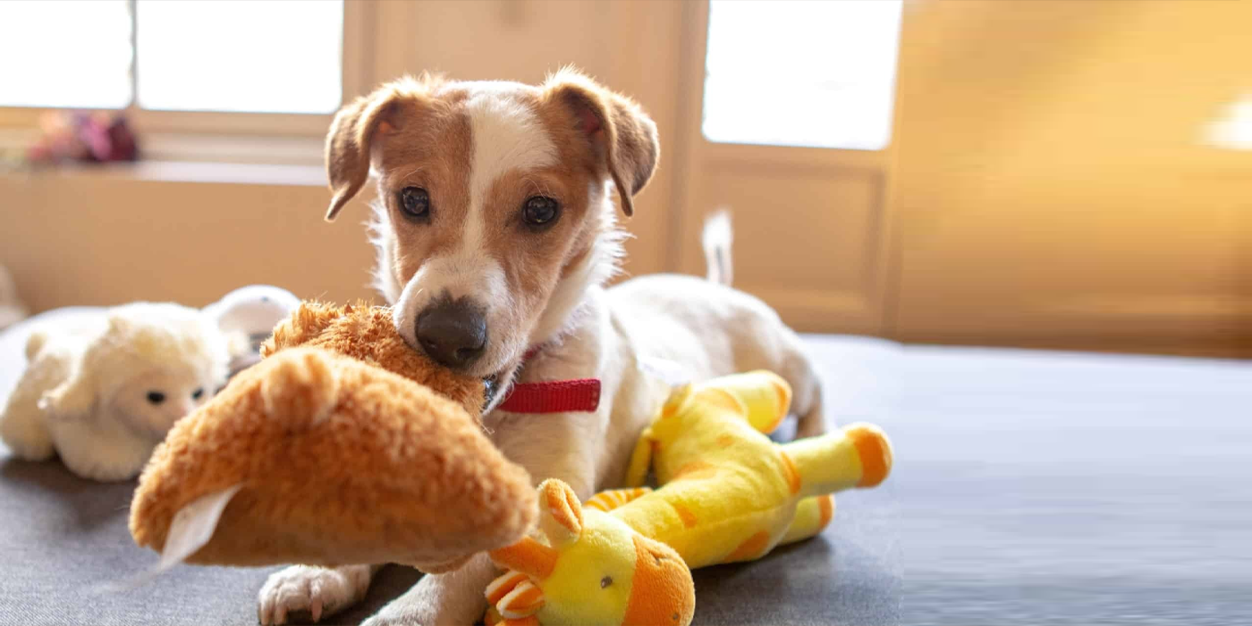 slider image slider_item_qwR7h9