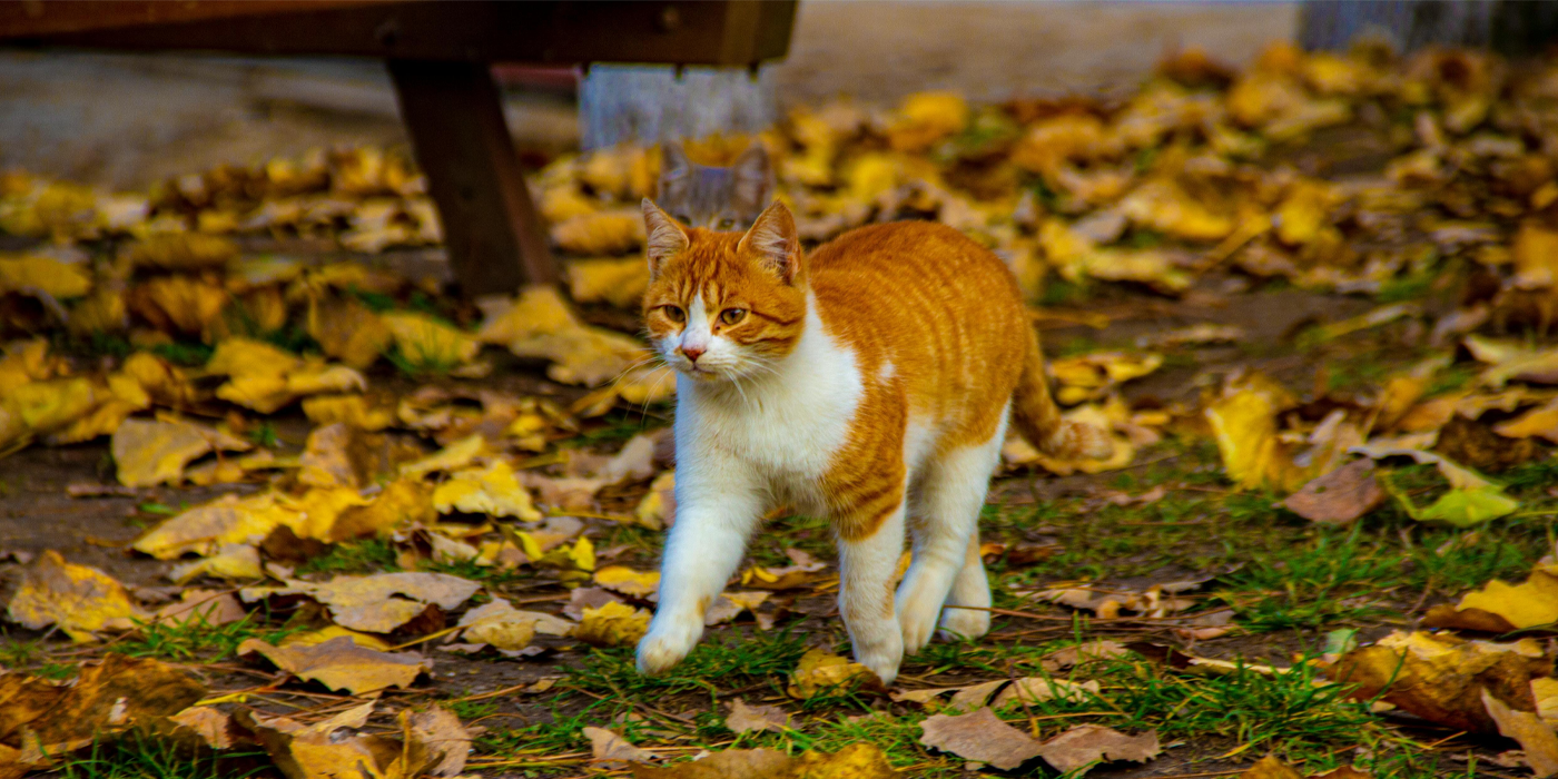 slider image slider_item_PAgWek