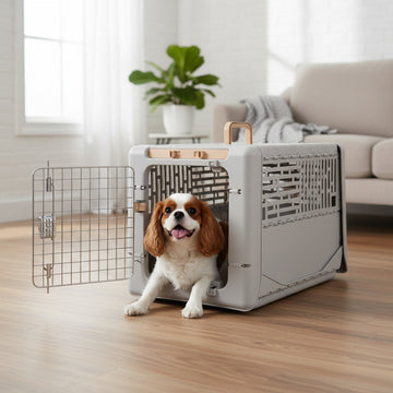 Collapsible Travel Pet Kennel — Folds Flat