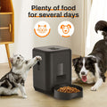 Smart WiFi Pet Feeder — Never Miss a Feeding, Even From Work - Pawtopia-Shop