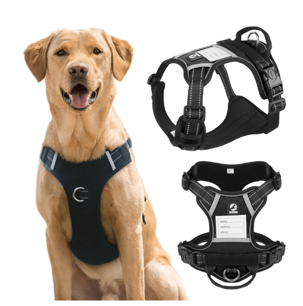 Tactical No-Pull Dog Vest with Handle - Pawtopia-Shop